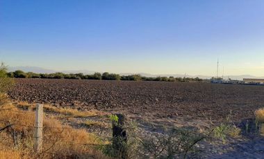 Terreno en Venta en Paso del Aguila, Torreón, Coahuila de Zaragoza