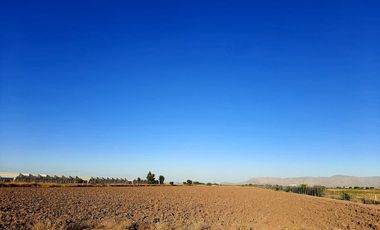 Terreno en Venta en Paso del Aguila, Torreón, Coahuila de Zaragoza