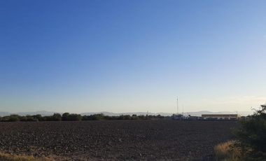 Terreno en Venta en Paso del Aguila, Torreón, Coahuila de Zaragoza