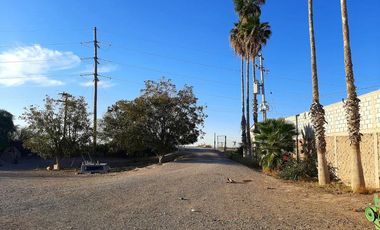 Terreno en Venta en Paso del Aguila, Torreón, Coahuila de Zaragoza