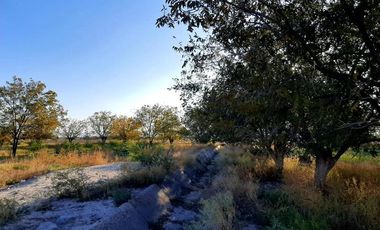Terreno en Venta en Paso del Aguila, Torreón, Coahuila de Zaragoza