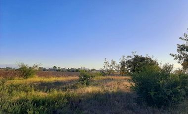 Terreno en Venta en Paso del Aguila, Torreón, Coahuila de Zaragoza