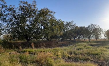 Terreno en Venta en Paso del Aguila, Torreón, Coahuila de Zaragoza