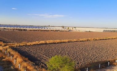 Terreno en Venta en Paso del Aguila, Torreón, Coahuila de Zaragoza