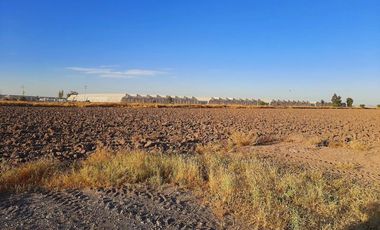 Terreno en Venta en Paso del Aguila, Torreón, Coahuila de Zaragoza