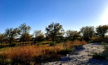Terreno en Venta en Paso del Aguila, Torreón, Coahuila de Zaragoza