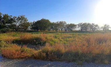 Terreno en Venta en Paso del Aguila, Torreón, Coahuila de Zaragoza