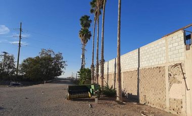 Terreno en Venta en Paso del Aguila, Torreón, Coahuila de Zaragoza