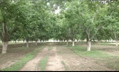 Quinta en venta en Higueras, Higueras, Nuevo León