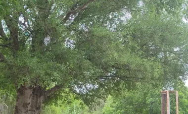 Quinta en venta en Higueras, Higueras, Nuevo León