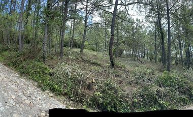 Tapalpa Country Club