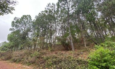 Tapalpa Country Club