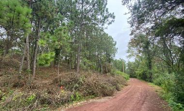 Tapalpa Country Club