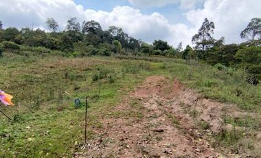 VENTA de LOTES en SILVANIA