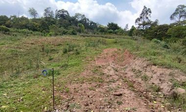 VENTA de LOTES en SILVANIA