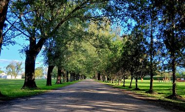 VENTA | LOTE | LA MAGDALENA | GREEN