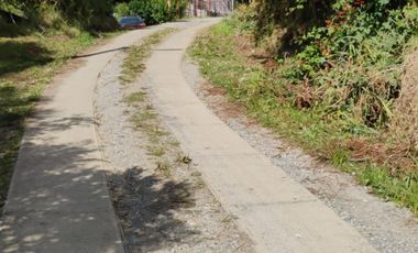 BAHÍA MANSA, DÉCIMA REGIÓN COSTERA