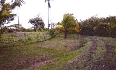 ¡Terreno en Venta en Pedasí! +200 Hectáreas Frente al Mar