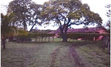 ¡Terreno en Venta en Pedasí! +200 Hectáreas Frente al Mar