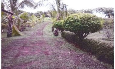 ¡Terreno en Venta en Pedasí! +200 Hectáreas Frente al Mar