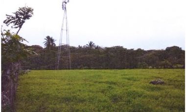 ¡Terreno en Venta en Pedasí! +200 Hectáreas Frente al Mar