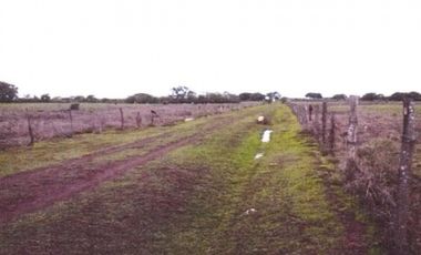 ¡Terreno en Venta en Pedasí! +200 Hectáreas Frente al Mar