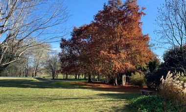Venta de terreno 1101m2  en Club de Campo San Francisco, Manzanares, Pilar
