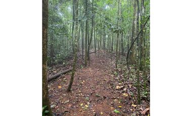 CERRO AZUL / TERRENO / 55 HECATREAS / BOSQUE / RIO / QUEBRADAS
