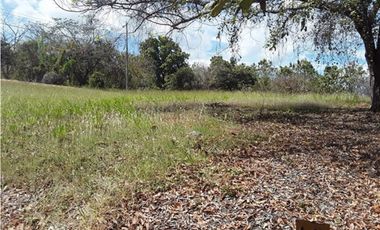 TERRENO / SAN CARLOS / PLAYA CORONA / 1112M / CALLE ASFALTADA