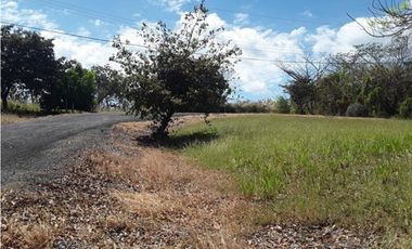 TERRENO / SAN CARLOS / PLAYA CORONA / 1112M / CALLE ASFALTADA