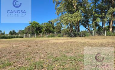 LOTE 600 MTS - N°100