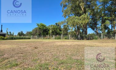LOTE 600 MTS - N°100