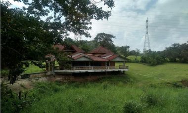 LA CHORRERA / ARENOSA / 12 HECTAREAS / FINCA CON CABAÑA