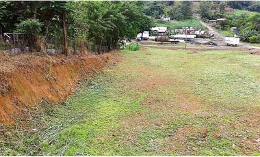 VENDEN LOTES  CABUYITA EN LA 24 DE DICIEMBRE
