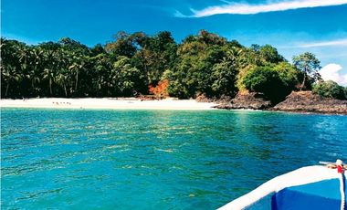 ISLA COMPLETA / GOLFO CHIRIQUI / 8 HECTAREAS + 4000m2 / NEGOCIABLE