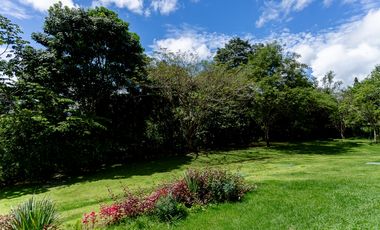 APARTAMENTOS FOREST GATE EN ALBROOK T8