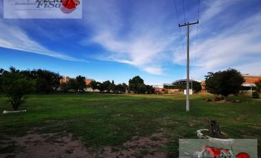 Terreno - Centro