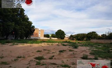 Terreno - Centro