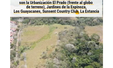 VENTA 4 HECTAREAS DE TERRENO PARA INVERSIONISTA OFERTA EN CHORRERA AC