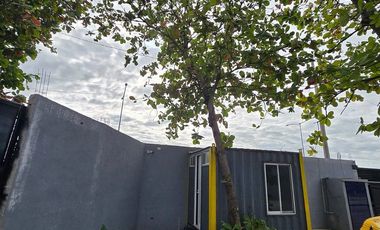 Patio en RENTA 📍Carretera Carmen Puerto Real