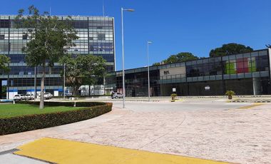 LOCAL EN RENTA EN EDIFICIO ALTUM, CIUDAD DEL CARMEN