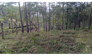 CERRO AZUL / TERRENO /  1178M / CLIMA FRIO
