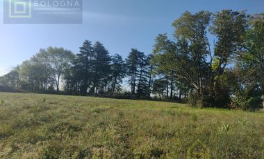 Terreno - Villa Rosa