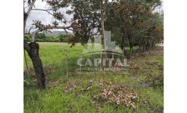 TERRENO-EL OLIVO DEL CAÑO DE NATA COCLE