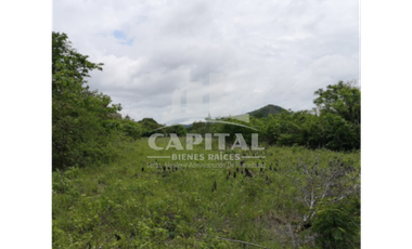 TERRENO-EL OLIVO DEL CAÑO DE NATA COCLE