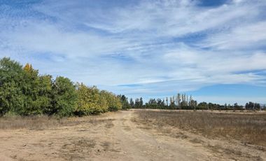 Parcela en venta  en MELIPILLA