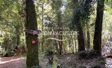 Casa en venta  en PANGUIPULLI