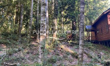 Casa en venta  en PANGUIPULLI