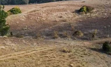 Parcela en venta  en YUMBEL