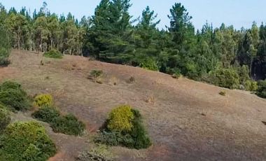 Parcela en venta  en YUMBEL